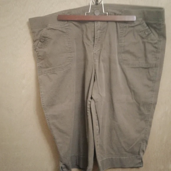 Capris - Picture 1 of 1